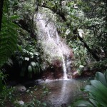 DSC01165
