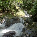 DSC01172