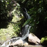 DSC01174