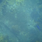 DSC01228