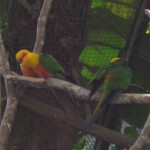 IMG_7250